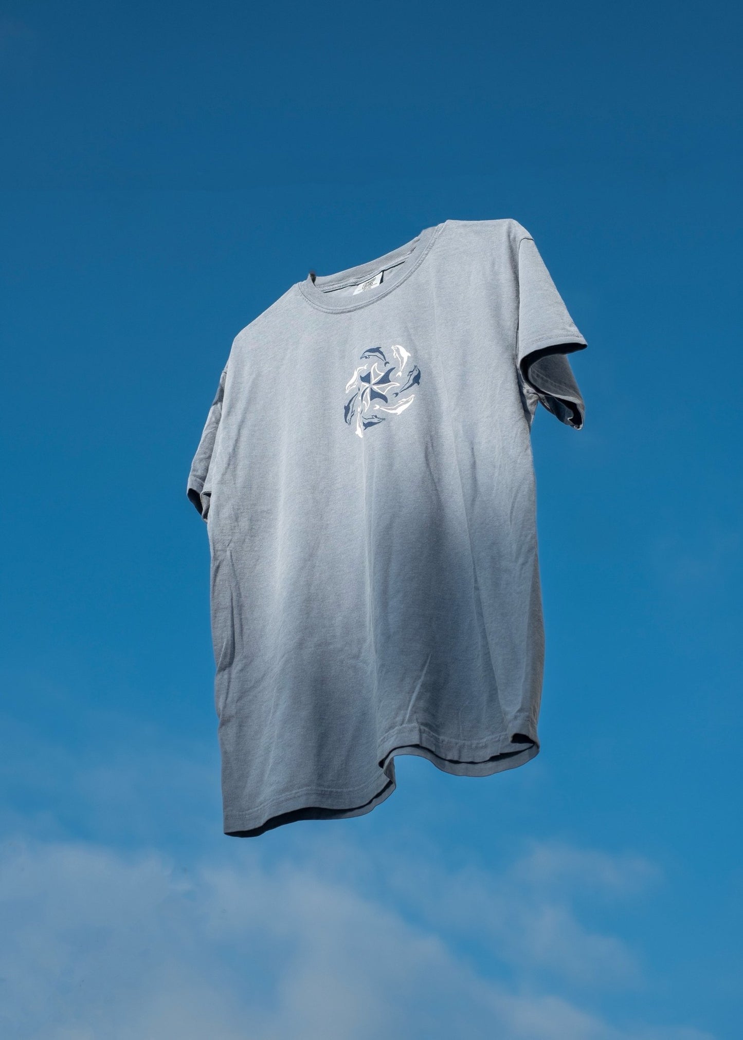 Dolphin Portal Tee