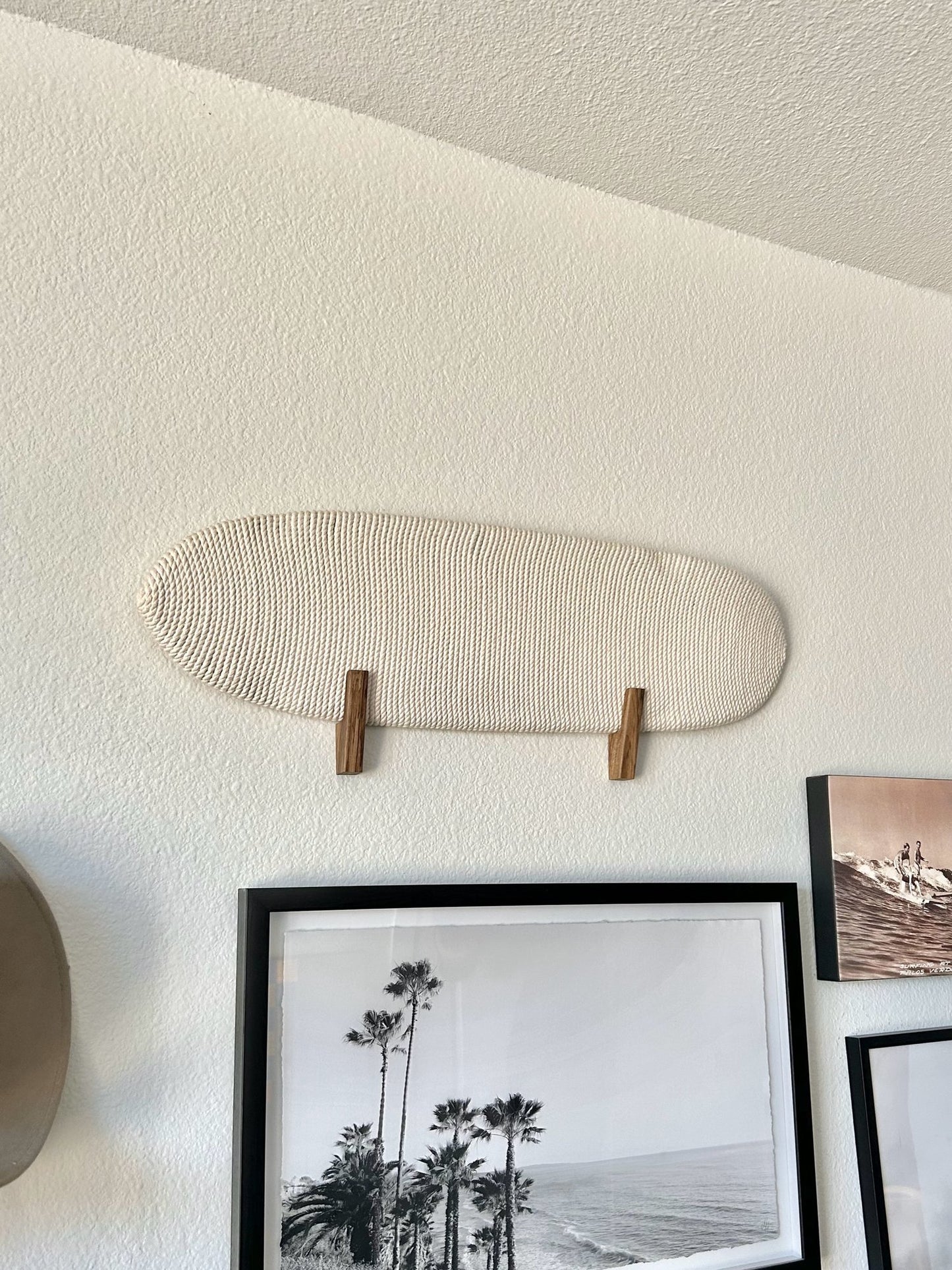 Sidewalk Surfer Rope Board